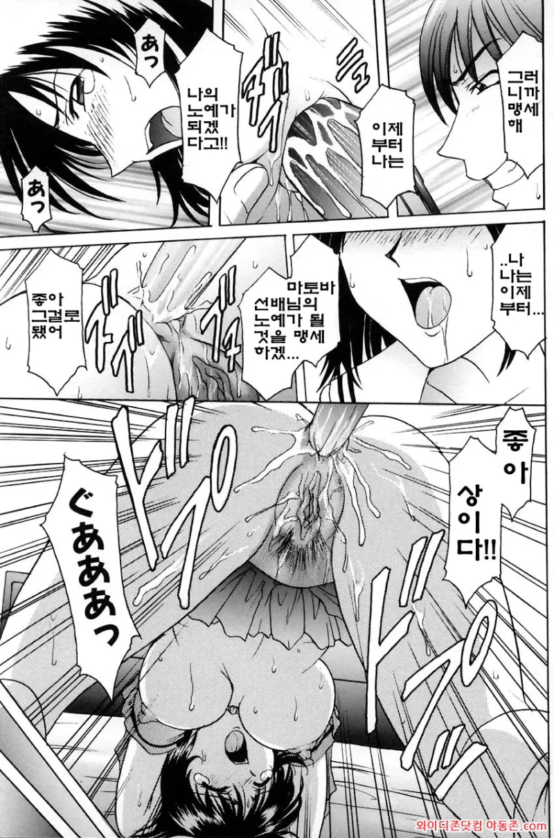 260327_000506_h0QOb5BEf30fc76cd86894b1d116ec93889de1af9ba14ce7.webp